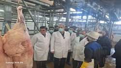 Iran launches guaranteed purchase program to support livestock farmers