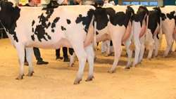 Iran PLEX 2024 set to showcase latest poultry, livestock innovations