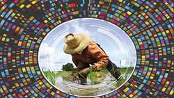 Iran joins FAO Global Soil Doctors Program