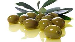 Olive production in Iran expected to rise by 100%, official says 