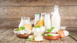 Mazandaran province exports dairies to 25 countries 