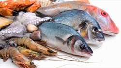 Iran fish exports register 30 percent rise in first quarter