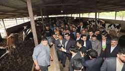 Ministry of Agriculture aims for stable, fluctuation-free production of essential products