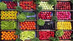 Iran agricultural exports surge in first quarter