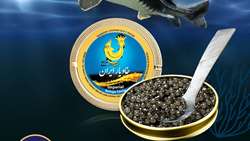 Iran to launch major sturgeon farm in Hamedan province 