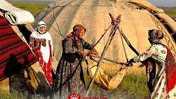 11m rural, nomadic women active in Iran