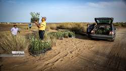 Official highlights importance of Phytosanitary certificate against plant pests when buying saplings