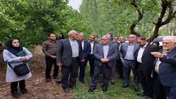 Iraqi delegation visits Iran’s West Azerbaijan province to expand agricultural cooperation 