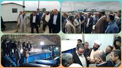 Mazandaran Province exports 7,000 tons of fishery products