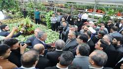 Minister calls for development of modern greenhouses