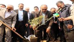 Iran produces 300m saplings