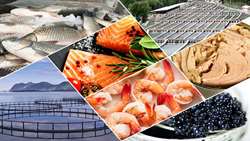Iran seafood exports surge, reaching 45 countries