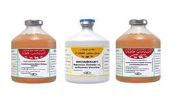 Iran Razi Institute revolutionizes veterinary medicine with 3 new vaccines