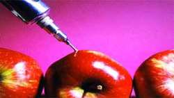 Iran advances agricultural innovation with new crop varieties 