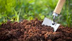 Pishva rings alarm for soil conservation 