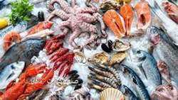 Iran fishery exports flourish