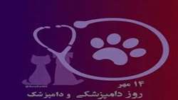  Deputy minister issues message on occasion of National Veterinary Day