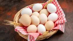  Iran egg exports soar amid government support