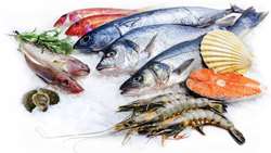 Iran fishery exports flourish in 2024