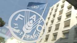 Iran partners with FAO , GCF to bolster climate resilience
