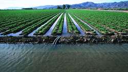 Iran targets significant reduction in agricultural water consumption