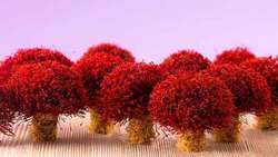  Iran saffron output to see major growth official says