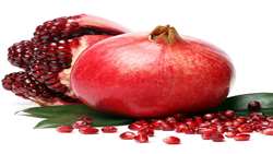  Iran ranks third in global pomegranate production