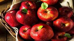 Iran apple exports reach 111m dollars 