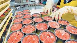 Iran Tuna exports surge in 5 months