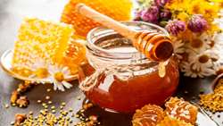 Iran honey production per capita soars