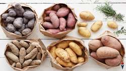 Iran potato exports surge in first five months