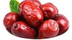 South Khorasan Jujube harvest to reach 9,000 tons