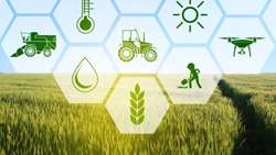 Iran launches nationwide agricultural plan to boost food security