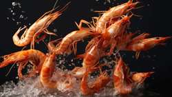 Major aquaculture complex in south to revolutionize Iran’s shrimp farming industry