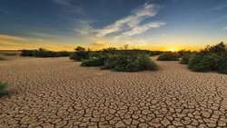 Iran launches major haloculture program to tackle soil salinity 