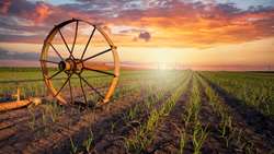 Dryland Agriculture key strategy for food resilience amid threats of climate change 