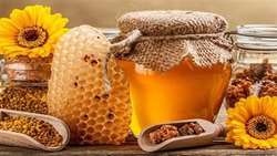 East Azerbaijan Province emerges as Iran’s beekeeping powerhouse