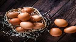 Exports of edible eggs to 9 countries from East Azarbaijan on rise: Official 