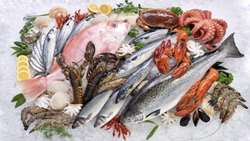 Iran aquatic exports reach record levels
