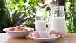 Iran has achieved self sufficiency in poultry, milk, deputy minister says  