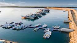 Iran unveils 42 fishing port projects nationwide 