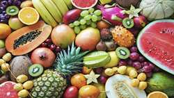2nd Intl conference on tropical fruits and dates to slated for February 