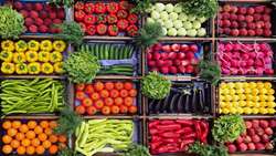 Khash exports 1st shipment of greenhouse produce to Russia
