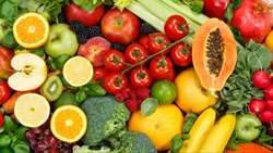 Agricultural output rises fivefold since 1979 Islamic Revolution, AREEO head says