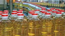 Grounds broken for major vegetable oil production project 