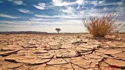  Iran eyes tech-driven agriculture to combat water crisis