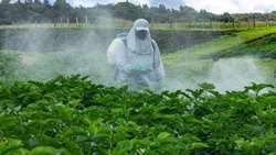  ‘Iran strongly committed to environmental protection, human health’