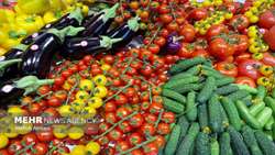 Iran 10-month greenhouse output up 4 percent reaching 3m tons