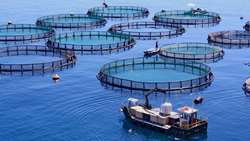 Mazandaran province leads in offshore fish cage installations