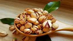 Iran exports 1.3b worth of pistachios in ten months 